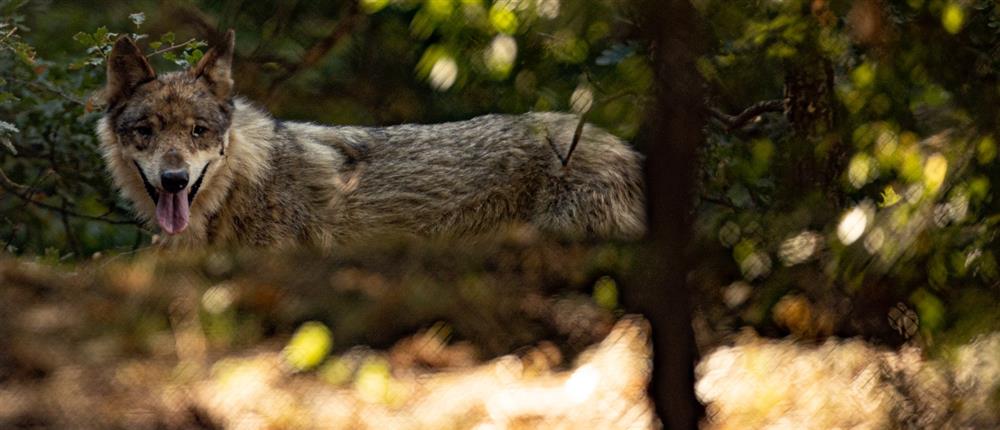 1000_d0b92e1c-7a84-4122-a8f8-6463e4c36a86