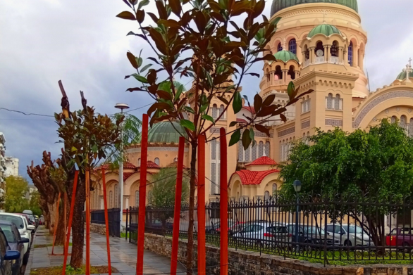 Πάτρα: Μπήκαν νέα δένδρα στον Αγιο Ανδρέα - Στην θέση όσων ξεριζώθηκαν από τον ανεμοστρόβιλο