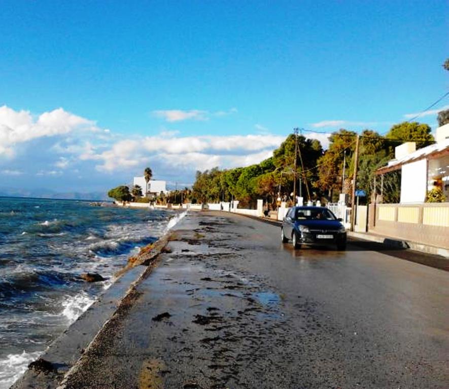 Πάτρα: Το μόνιμο πρόβλημα στα Ροϊτικα 3_1
