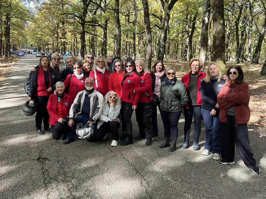 441dbe6b-9d76-401d-9bae-c4dadf3e9e62