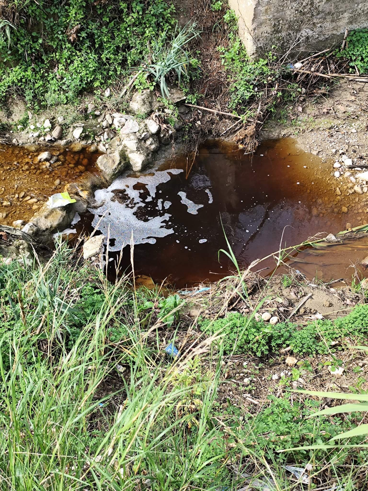 573311036_3255131574651048_3814655786068258927_n (1)