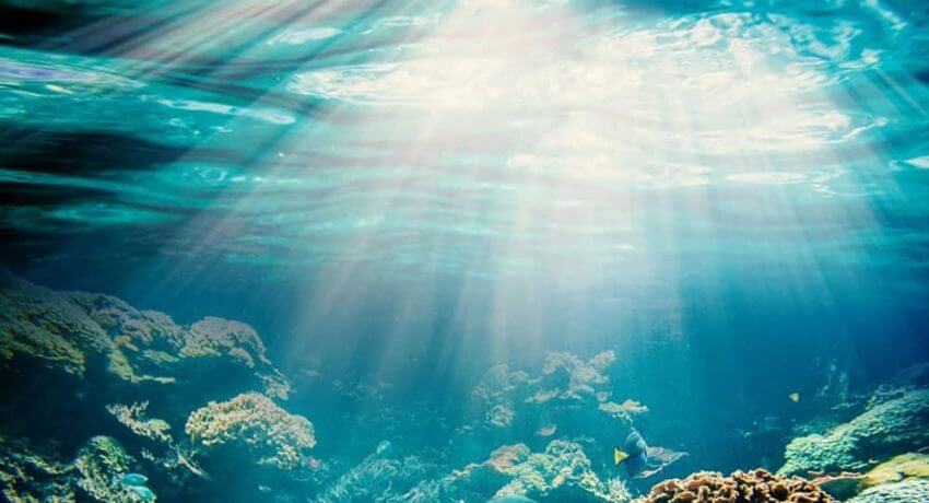 61Go6Asmg0L._AC_UF10001000_QL80_-rdrosxic37x8vowai3k8d0ulja8opsa2in7as24vi0