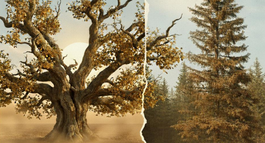 Screenshot-2025-11-05-122306-re96kxeizi6f2yk0yozyabo2a4uq8fjbam048o50mw