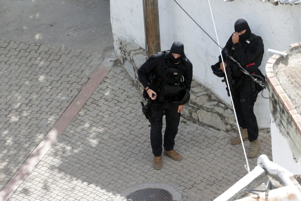 borizia-astynomia-2-scaled