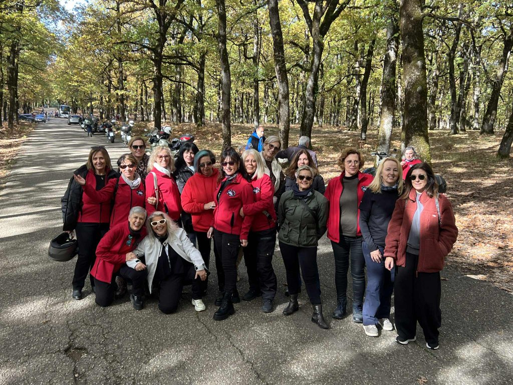 e25c1876-d421-40e4-91d0-9d2142db2226