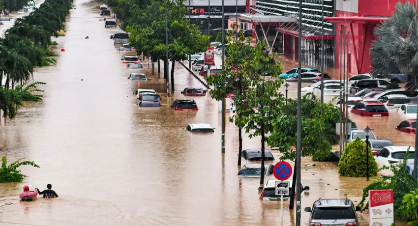 maketa-vietnam-rf2pyhvovorczufwhm2mblq8mdvg7pplis8z6hobqw