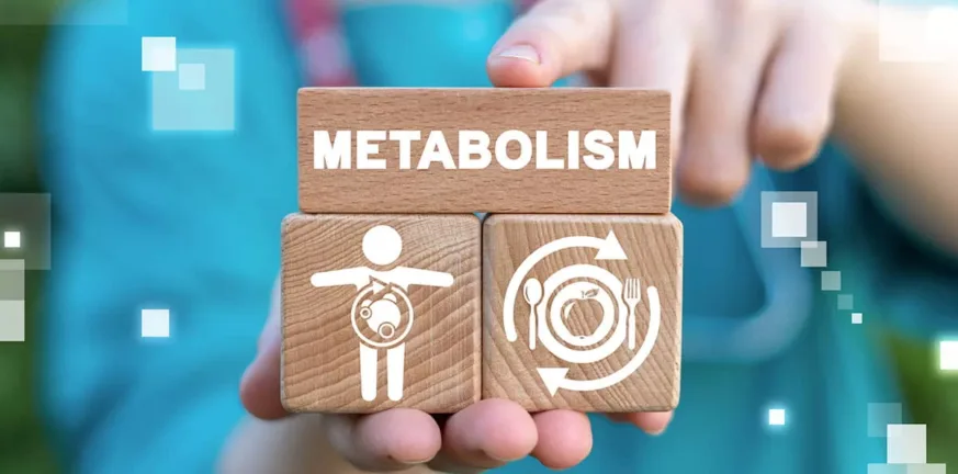 mplokare-metavolismos-873x432