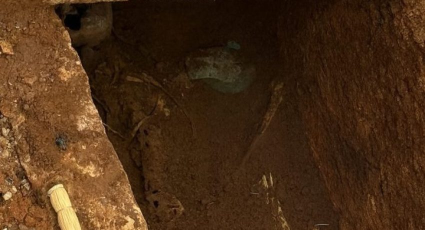 tafos-e1764411174928-rfexzdkvovqbqyofvf5hipngsa6tuxwprv3j608sjc