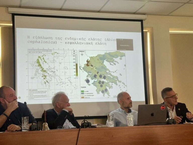 Καλάβρυτα: Η ημερίδα για τις ξηράνσεις της ελάτης και πλατάνων- Μήνυμα για έγκαιρη δράση και συνεργασία