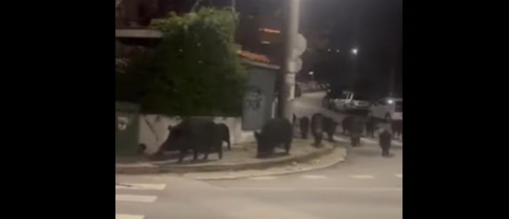 1000_520f4b91-a9e4-4742-a37a-c91e39778c98