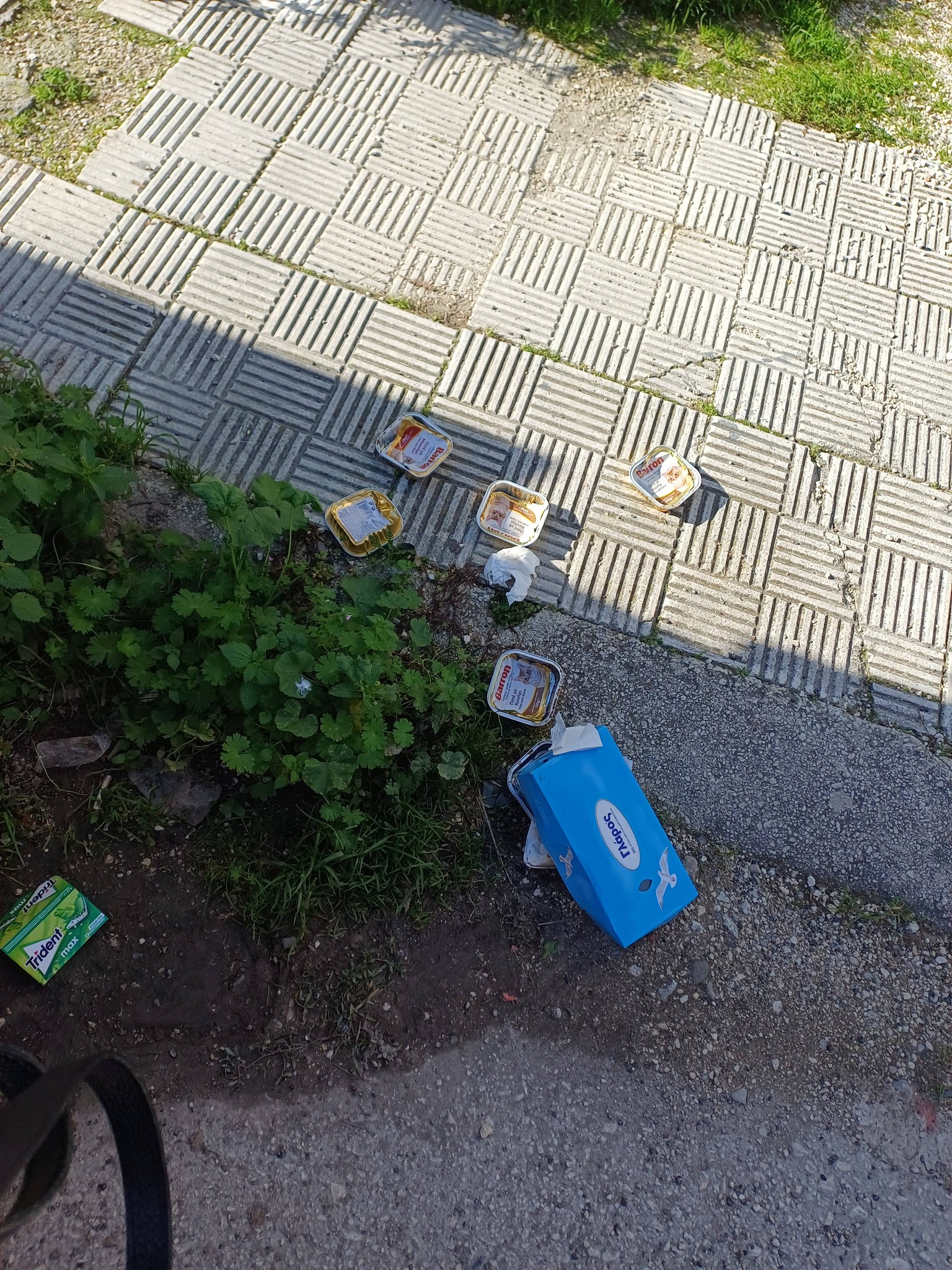 Πάτρα - Δ. Ελλάδα 5