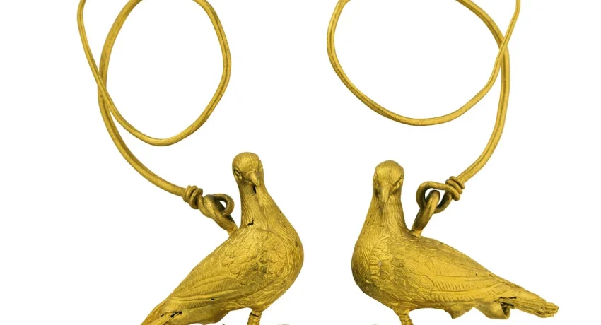 AMP-01-1-rg3a5mrkzgp84nsk98fkcmu36cffqlh43j5bzm87lk