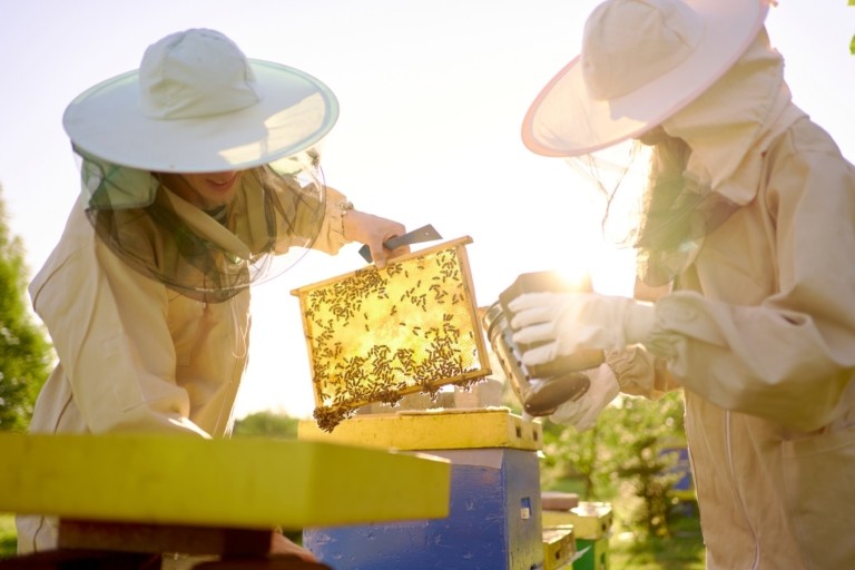 GettyImages-1271663476-768x512