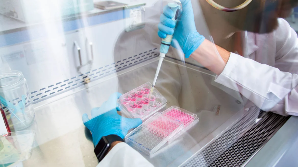 dotis_spermatos2maketa