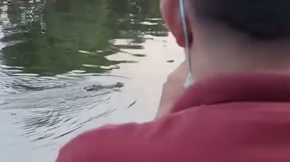 korkodeilos-indonuisia