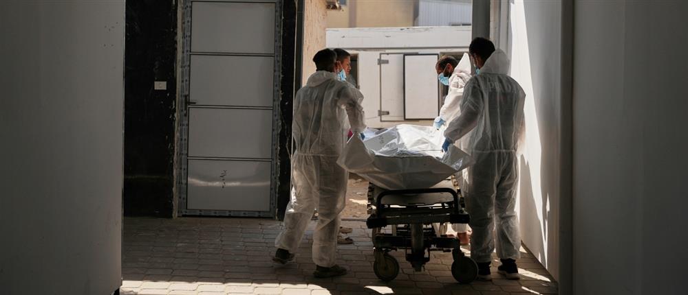 1000_7e5c6364-3f90-44ef-a827-5109e853c1f3