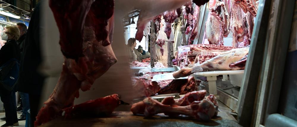 1000_e5a6aecb-67ac-4927-8bed-fd4a724abcf8