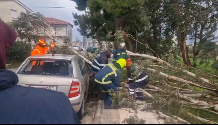 3d8b0543-c285-49ec-8e10-e32894034155