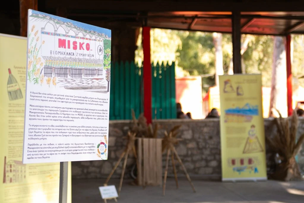 Πάτρα - Δ. Ελλάδα 483768567_971524911759604_599393711745551760_n-1024x683