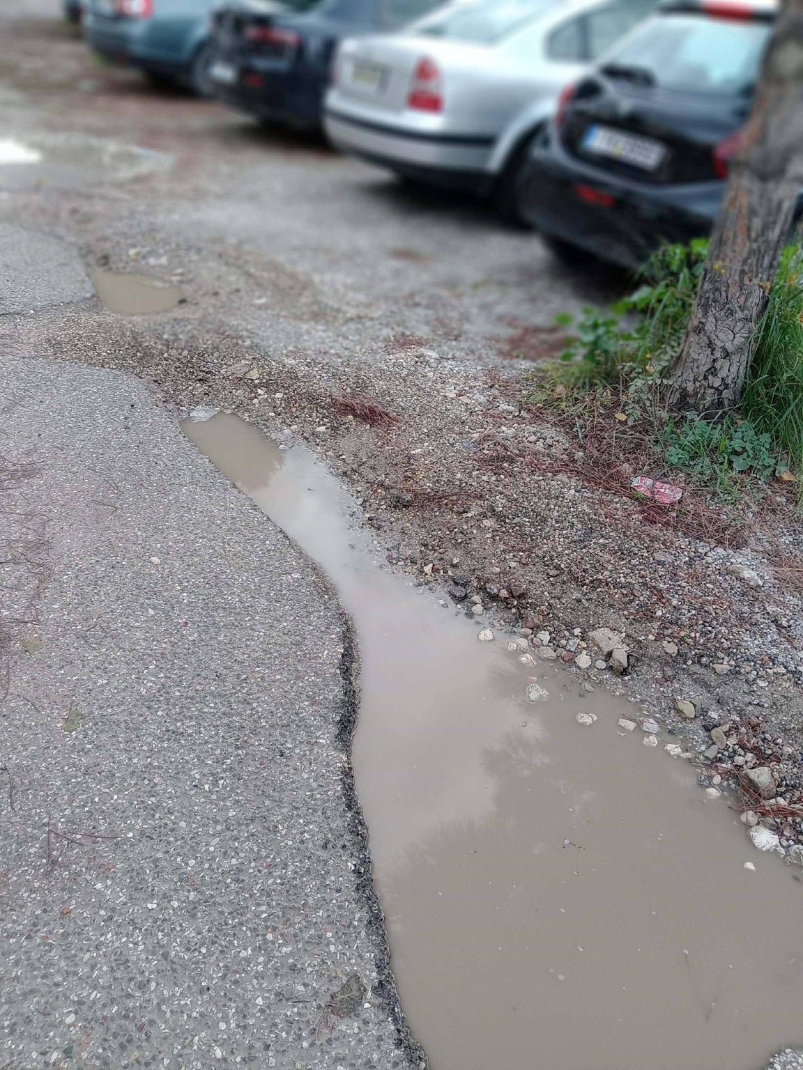 615126962_26099849822955808_4623847807023045384_n