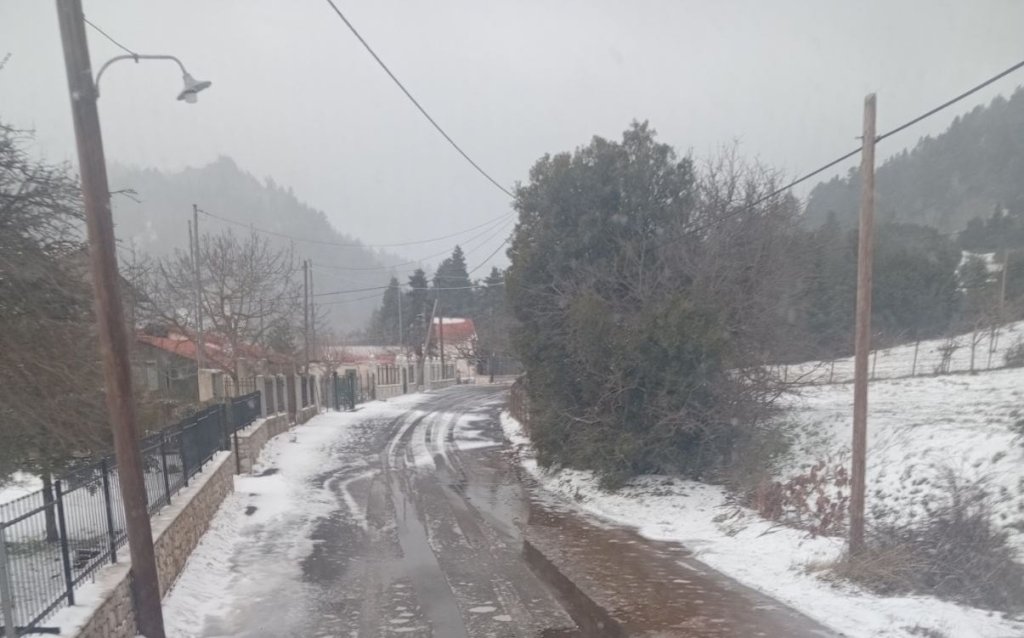 617074854_1185733960429135_7837648441584954673_n (1)