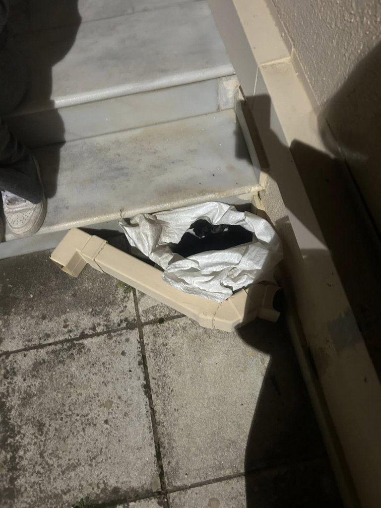 622126093_10165726517753499_5352200601743252450_n