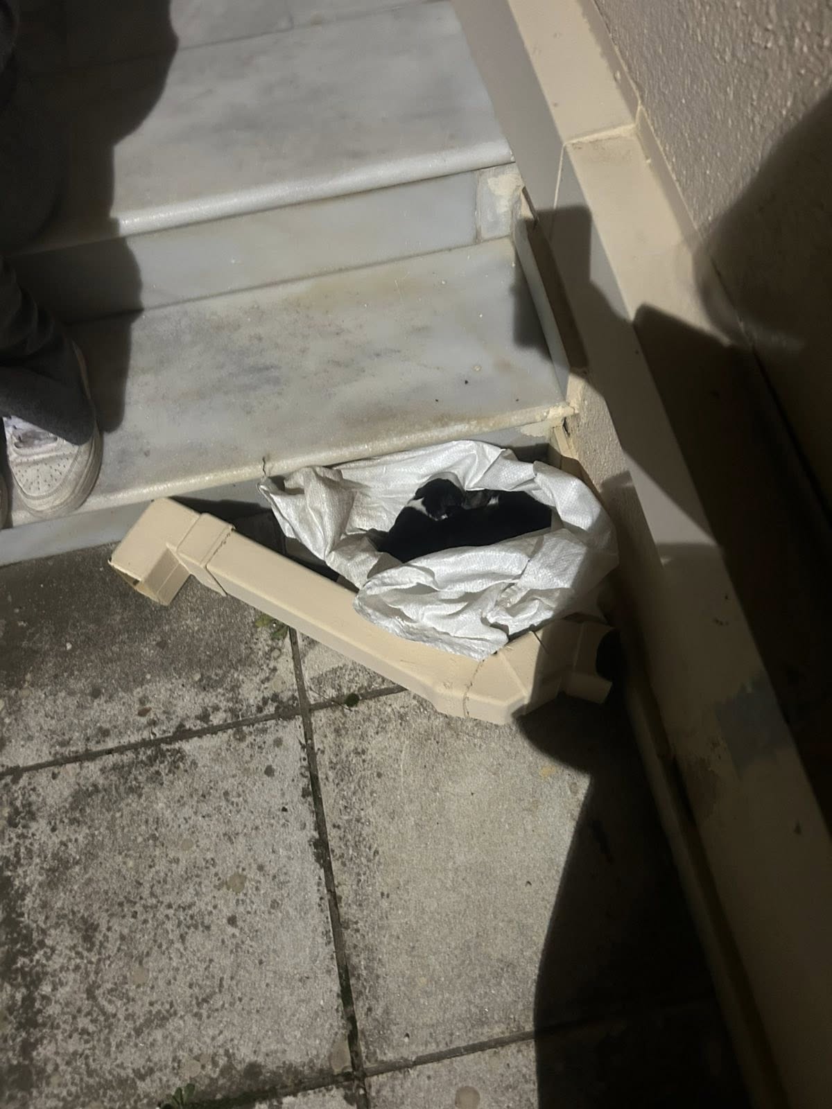 Πάτρα - Δ. Ελλάδα 622126093_10165726517753499_5352200601743252450_n