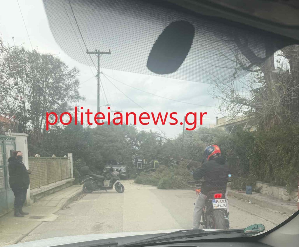 93ace2c8-076b-4202-a0e3-10443ceb3d1d