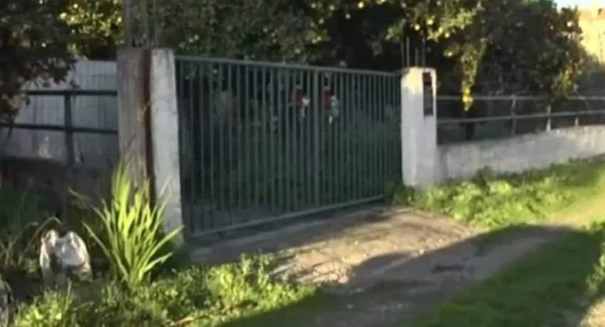 Screenshot-2026-01-13-212346-rhlxug3vhkykind80c52upl6qos7ylpy97ozr9ry48