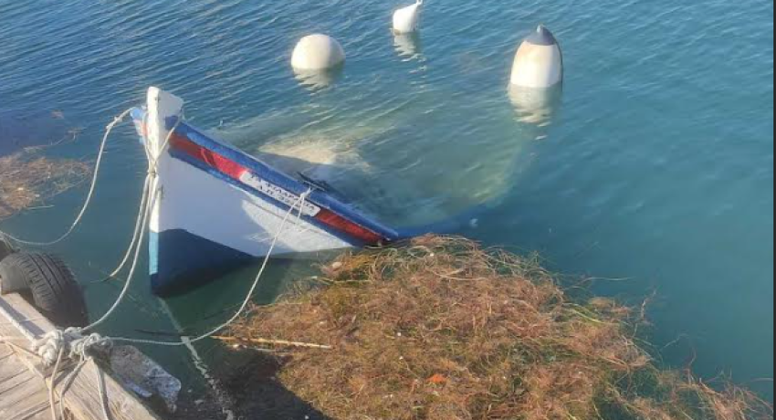 Screenshot-2026-01-14-220951-1-rhnqthlmbuxji1s1neffkgmiwny2bnjx6e6rvdnmgo