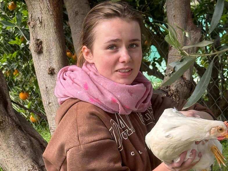 Πάτρα - Δ. Ελλάδα dqamvicmuc6963eaa2984c6