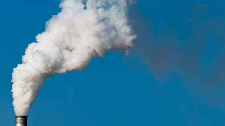 Η κλιματική απορρύθμιση δηλητηριάζει την ατμόσφαιρα των πόλεων: Είδος προς εξαφάνιση ο καθαρός αέρας