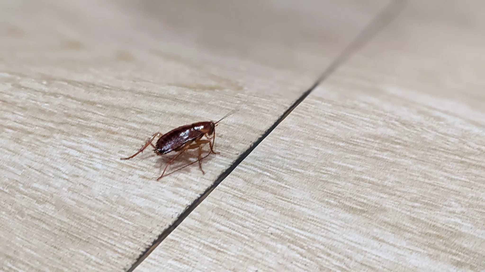 shutterstock_2680954049-2048x1152