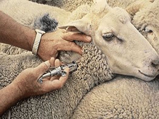 Πάτρα - Δ. Ελλάδα ευλογια