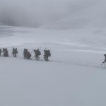 Βελούχι: Συνεχίζονται οι έρευνες για τον 74χρονο ορειβάτη - Δύσκολες οι συνθήκες λόγω καιρού Βελούχι: Συνεχίζονται οι έρευνες για τον 74χρονο ορειβάτη – Δύσκολες οι συνθήκες λόγω καιρού