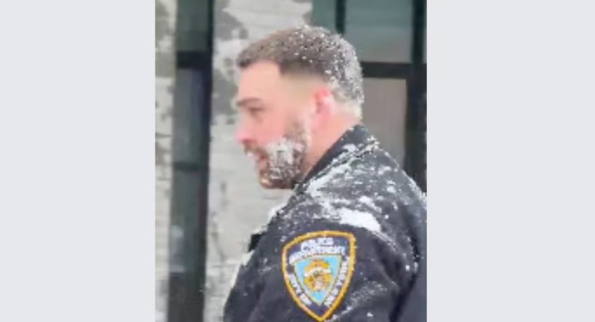 1b966337-1771969700078-23364530-snowball-rjnt0mfi3ycqkry20qd4c18lw8xlegvrll9v5jov3s