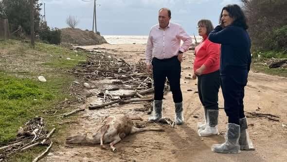 Πάτρα - Δ. Ελλάδα 624888936_10239849592116774_8129122655334938986_n