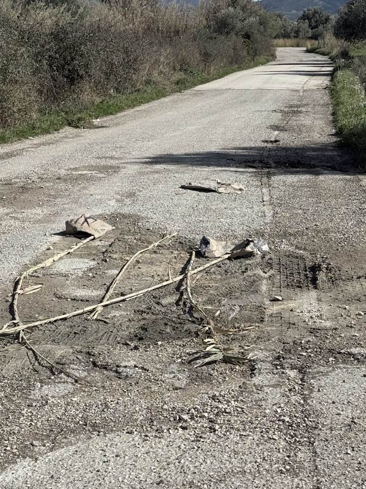 635130219_10225753517825186_3628394467119582823_n