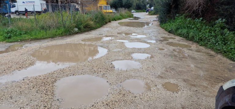 640272339_10236723471579219_2631525175421811024_n-768x358