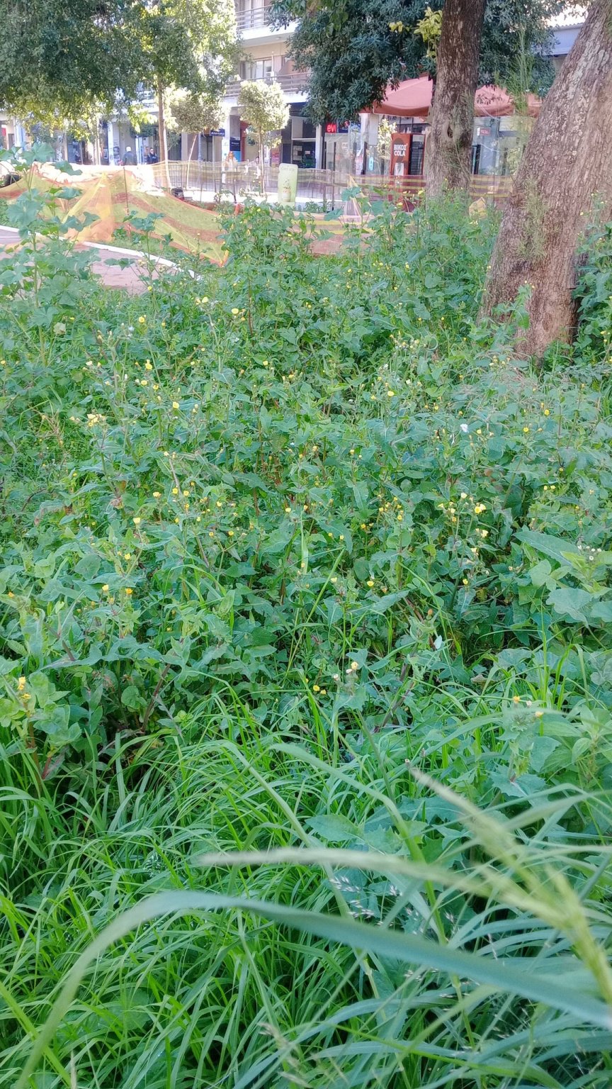 641618953_1996099627916319_4654737948241258572_n