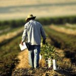 Κομισιόν σε Τσιόδρα: 205 εκατ. ευρώ για την προώθηση ευρωπαϊκών αγροδιατροφικών προϊόντων Κομισιόν σε Τσιόδρα: 205 εκατ. ευρώ για την προώθηση ευρωπαϊκών αγροδιατροφικών προϊόντων