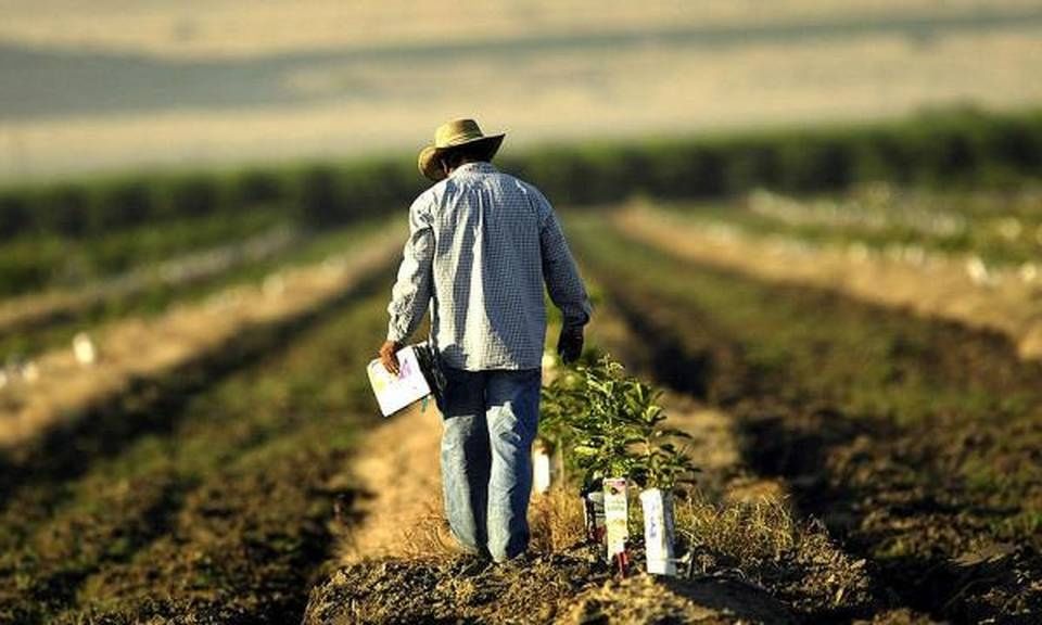 Ειδήσεις και νέα για Πάτρα , Δυτική Ελλάδα AGROT