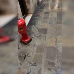 Βενετία: Τα ψάρια βγήκαν στην στεριά και πλημμύρισαν τα σοκάκια της πόλης – Το σπάνιο φαινόμενο acqua alta