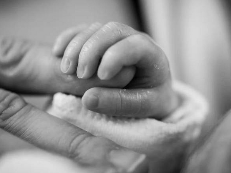 jwbdadewzf6992c5520a3a1