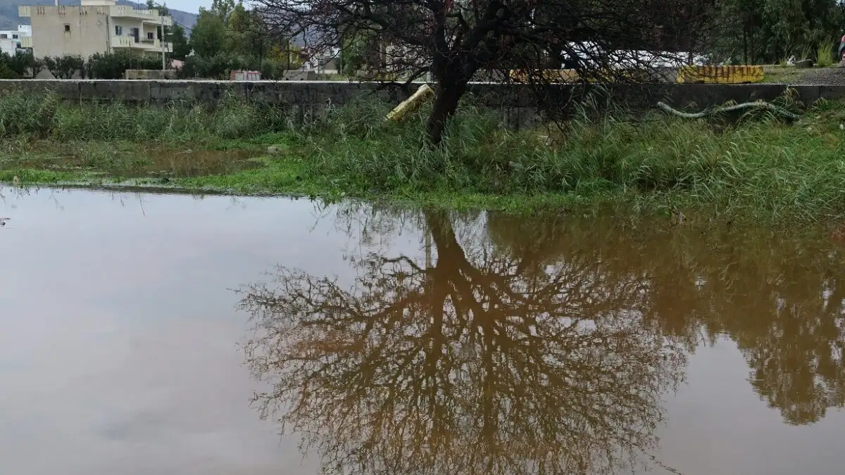 Ειδήσεις και νέα για Πάτρα , Δυτική Ελλάδα kakokairia