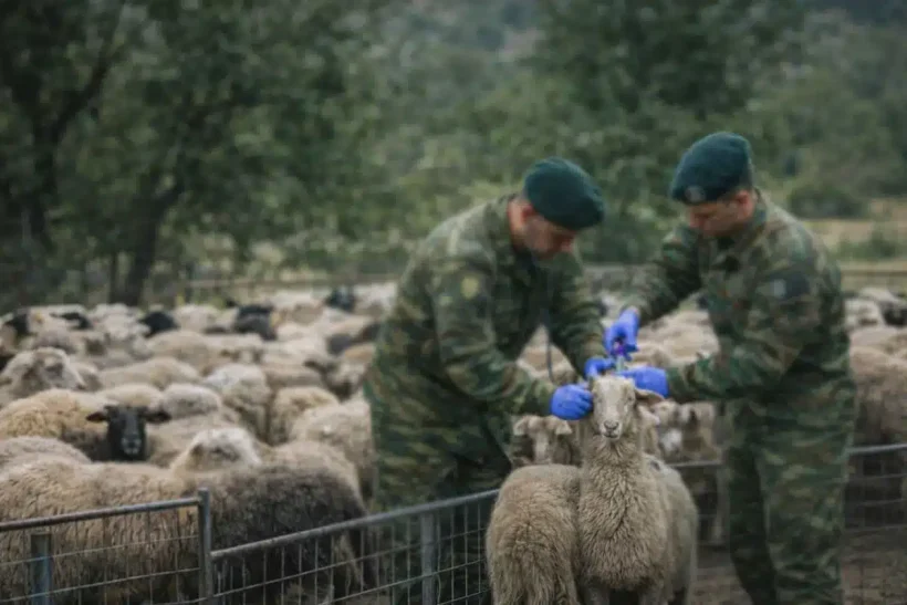 ktiniatroi-stratos.jpg-820x547