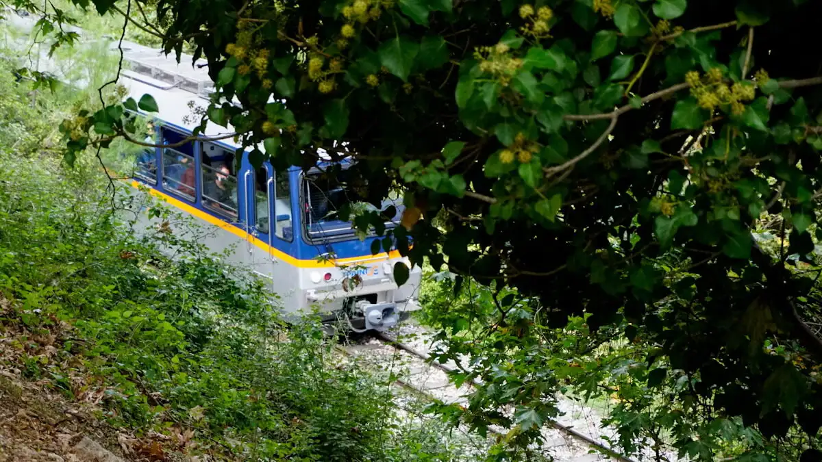 Αποζημίωση στο 100% για τους εγκλωβισμένους στον Οδοντωτό από την Hellenic Train – Τι άλλαξε μετά τη νέα συμφωνία