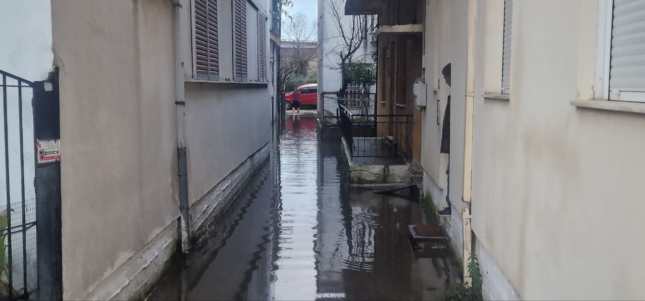 photo 2026 02 12 08 00 40 6