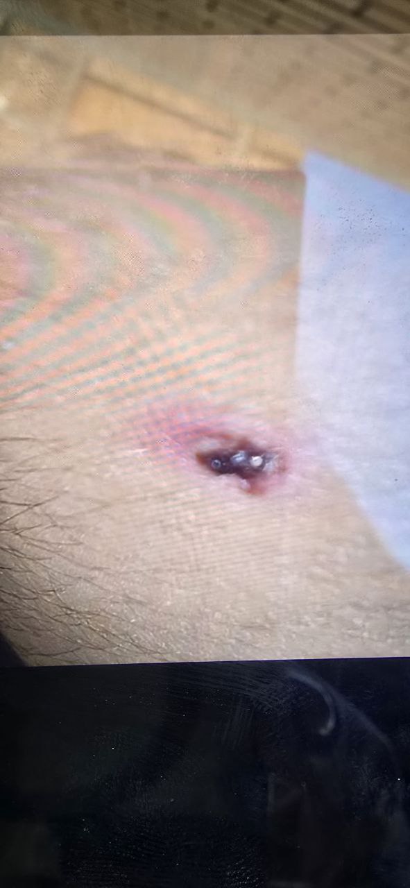 photo_2026-02-24_11-57-35 (2)