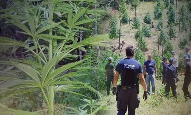 Ισόβια σε αγροτοσυνδικαλιστή που είχε συλληφθεί με 1 τόνο χασίς από αστυνομικούς της Πάτρας